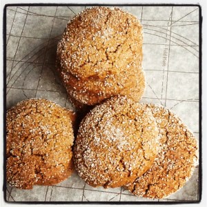 My gemmerkoekies vars van die afkoelrak af