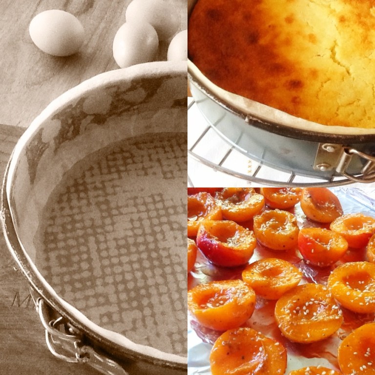 drie fotos vir intro collage pan en appelkose en klaarkoek