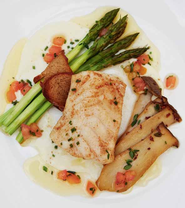 Michael Broughton Kabeljou R