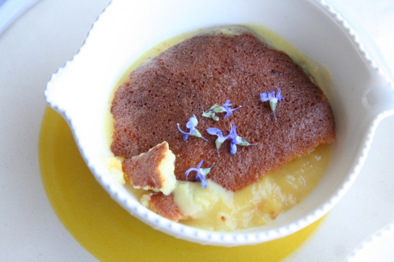 aa enkel skepping mooi IMG_8980 resize vir blog