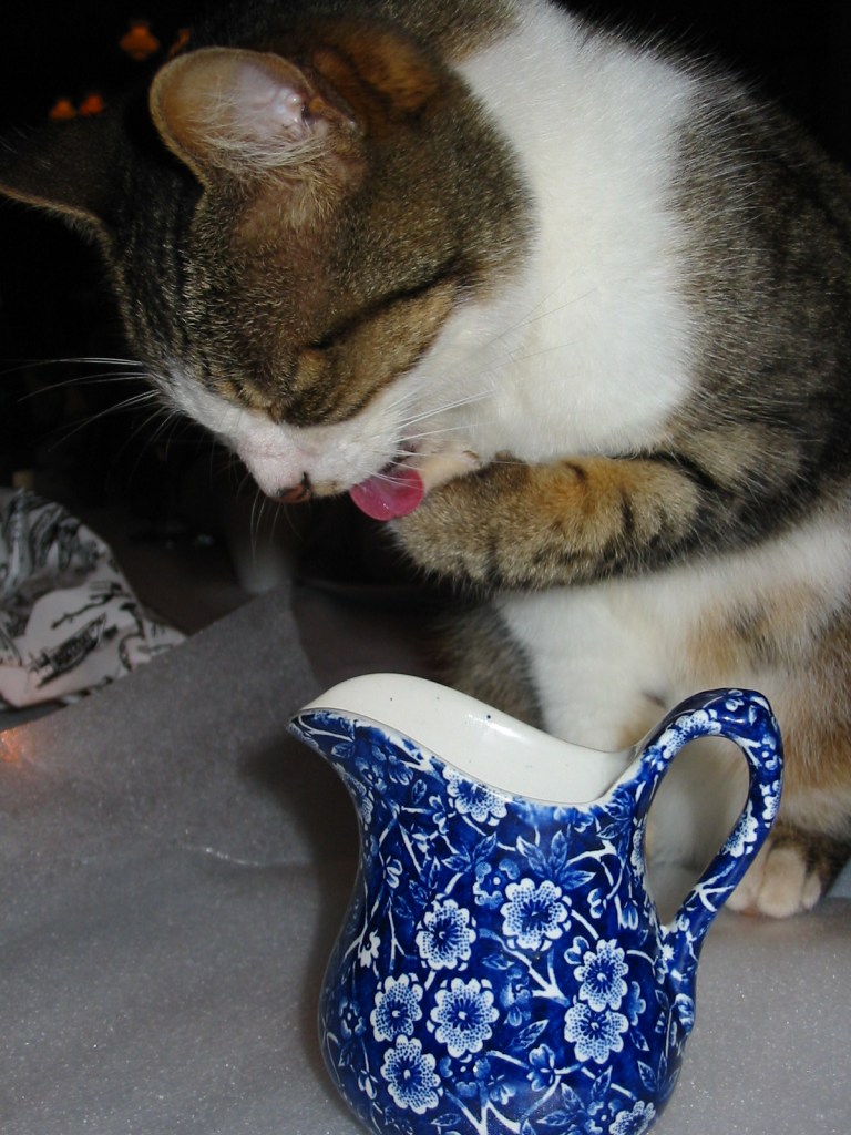 kiri lek uit melkbeker 180-8055_IMG